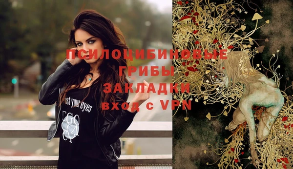 а пвп мука Богданович