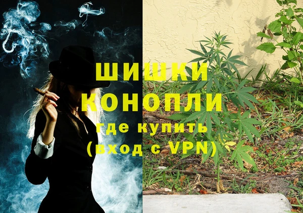 PSILOCYBIN Железноводск